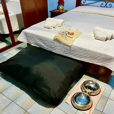 I Gelsomini Selinunte