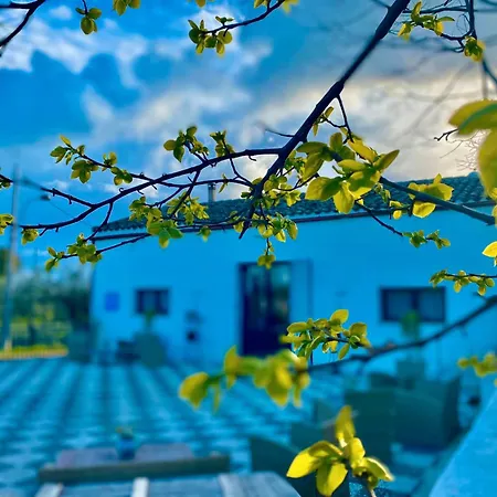 I Gelsomini Selinunte Castelvetrano